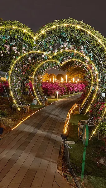 Smart LED Strip Lights - Waterproof with Neon Glow Effect in use