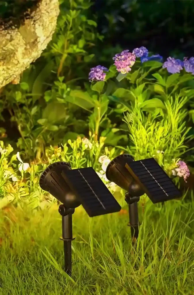 Elevate Your Outdoors with Vibrant, High-Performance Solar Lighting