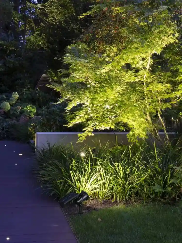 Elevate Your Outdoors with Vibrant, High-Performance Solar Lighting