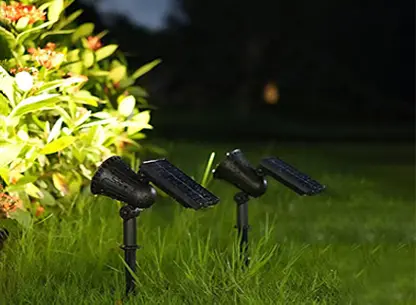 Elevate Your Outdoors with Vibrant, High-Performance Solar Lighting